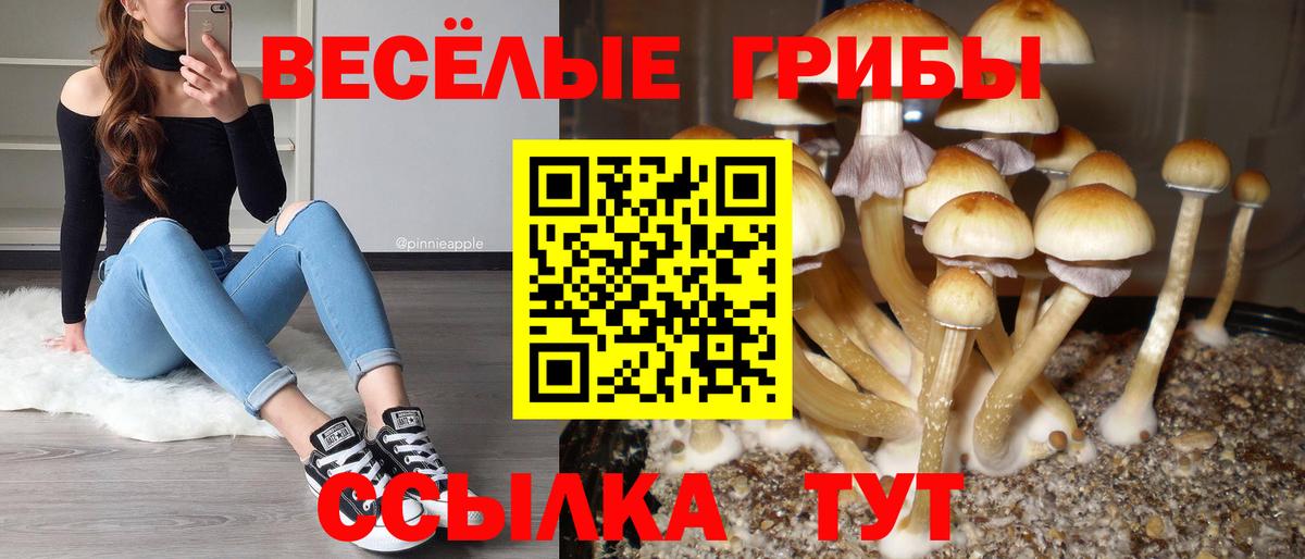 Псилоцибиновые грибы Magic Shrooms Аксай